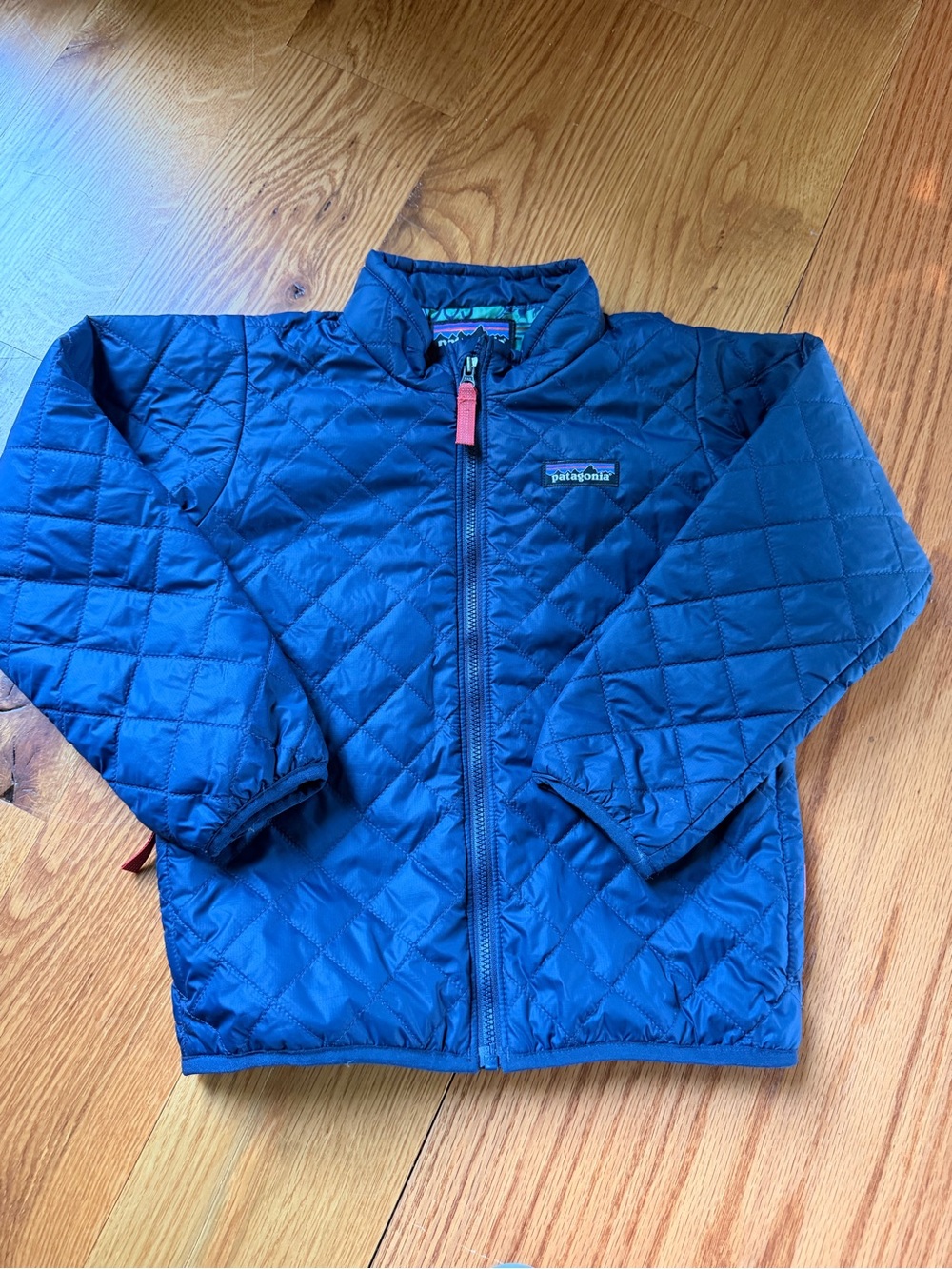 Patagonia 5T nanopuff fun hogs jacket